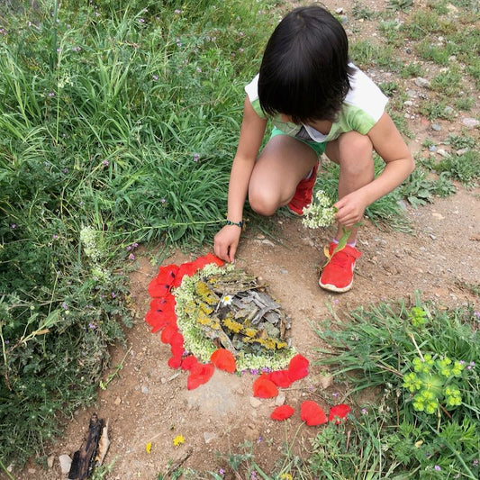 LAND ART El juego para crear Arte en la Naturaleza