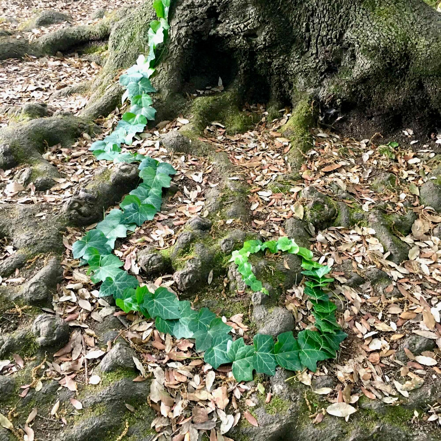 LAND ART El juego para crear Arte en la Naturaleza