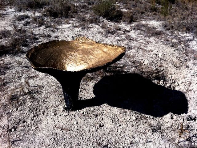 Water mushrooms